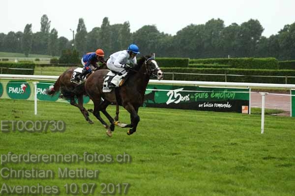 ET0Q0730 prot